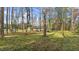 Spacious backyard with wooded area and privacy at 1970 Old Us Hwy 64, Spring Hope, NC 27882