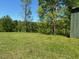 Wooded pasture with green grass, large trees, and a shed at 4216 New Hill Holleman Rd, New Hill, NC 27562