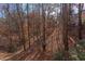 Wooded backyard with natural landscape and privacy at 101 Songbird Ln, Chapel Hill, NC 27514