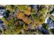 Aerial view of a spacious lot with mature trees at 906 Marlowe Rd, Raleigh, NC 27609