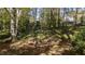 Wooded backyard with lush greenery and stone wall at 906 Marlowe Rd, Raleigh, NC 27609