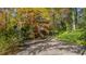 Brick house nestled in the woods with a private driveway at 906 Marlowe Rd, Raleigh, NC 27609