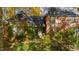 Brick home with ivy, showcasing a charming entrance at 906 Marlowe Rd, Raleigh, NC 27609