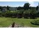 Large backyard with a row of trees and patio at 7217 Blannie Farms Ln, Willow Springs, NC 27592