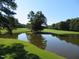 Scenic golf course view with pond and lush greenery at 117 Deer Cross Dr, Louisburg, NC 27549