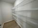 Walk-in pantry with wire shelving for ample storage at 172 Tulipfield Way, Benson, NC 27504