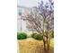 Private backyard with small patio and landscaping at 242 Liam St, Clayton, NC 27520