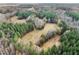 Aerial view showing a property with fields and forest at 2001 Wheelers Church Rd Rd, Hurdle Mills, NC 27541