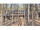 Overgrown lot with a dilapidated building at 2001 Wheelers Church Rd Rd, Hurdle Mills, NC 27541