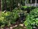 Lush garden with ferns, hostas and stepping stones at 1416 Mahonia Ct, Raleigh, NC 27615