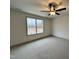 Cozy bedroom with plush carpeting and a large window offering natural light at 136 S Mistflower St, Clayton, NC 27520