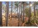 Spacious backyard with mature trees and homes at 6345 New Market Way, Raleigh, NC 27615