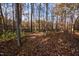 Wooded area with leaf-covered ground at 919 Blue Garden Ln, Willow Springs, NC 27592