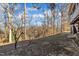 Wooded backyard view from house at 101 Creekside Dr, Selma, NC 27576