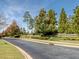 Street view of Chapel Ridge with trees and landscaping at 12 Cabin Creek Crk, Pittsboro, NC 27312