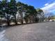 Backyard with pine trees and brown ground cover at 106 Bradley Dr, Benson, NC 27504