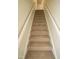 Carpeted staircase with white railings at 421 S Morgan St, Roxboro, NC 27573
