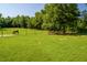 Large green pasture with a horse and trees in the background at 1416 Chambers Rd, Rougemont, NC 27572