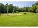 Spacious pasture with a horse and lush greenery at 1416 Chambers Rd, Rougemont, NC 27572
