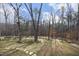Landscaped backyard near wooded area at 540 Patterson Dr, Chapel Hill, NC 27516
