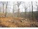Wooded area with leaf covered ground at 540 Patterson Dr, Chapel Hill, NC 27516