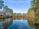 Scenic view of a tranquil lake surrounded by lush greenery at 1408 Ferrell Ct, Creedmoor, NC 27522