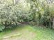 Wooded backyard with lush green grass at 313 E Mcclanahan St, Oxford, NC 27565