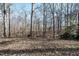 Wooded area behind the house at 4601 Eastbrae Ct, Fuquay Varina, NC 27526