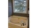 Bathroom with garden tub and large window at 4904 Arbor Chase Dr, Raleigh, NC 27616