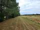 Long grass field with pine trees and fence at 899 Pittman Ln, Micro, NC 27555