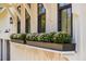 House exterior showcasing window boxes overflowing with white mums at 34 Chestnut Creek Way, Chapel Hill, NC 27516