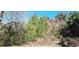 Wooded lot with mature trees and underbrush at 2319 Nc 86, Hillsborough, NC 27278