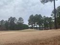 View of a golf course in a wooded area at 1270 Golfers Vw, Pittsboro, NC 27312