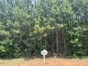 Wooded lot ready for your dream home at 3995 Hope Valley Dr, Wake Forest, NC 27587