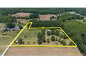 Aerial view showcasing the property's size and surrounding landscape at 113 Amelia Ln, Holly Springs, NC 27540