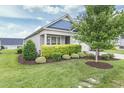 Landscaped front yard with green grass and manicured bushes at 258 Tyree Trl, Burlington, NC 27215