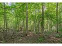 Wooded lot ready for your custom home at 222 Kenwood Ln, Pittsboro, NC 27312