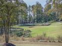 Luxury home nestled on a golf course with scenic views at 13 Blackhorn Ct, Pittsboro, NC 27312
