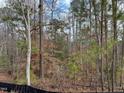 View 124 Breyla Way Holly Springs NC