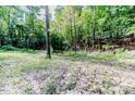 Secluded wooded area with a small pond at 997 Jackson Rd, Fuquay Varina, NC 27526