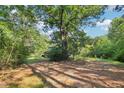 Large backyard with mature trees and open space at 260 S Rocky River Rd, Moncure, NC 27559