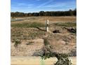 Empty lot ready for new construction with utilities marked at 3024 White Rail Dr, Fuquay Varina, NC 27526