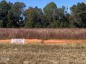 Vacant land with tall grass and a tree protection area at 3158 Alden Way, Angier, NC 27501