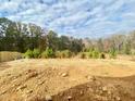 View 99 Baird Cove Ln # 173 Angier NC