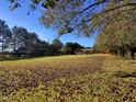 Spacious backyard with mature trees and open grassy area at 66 Hardy Rd, Wendell, NC 27591