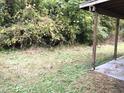 Overgrown backyard with a small patio area at 313 E Umstead St, Durham, NC 27707