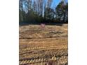 Vacant lot ready for new construction with for sale sign at 160 Blue Butterfly Dr, Angier, NC 27501