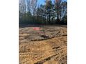 Vacant lot ready for new construction at 144 Blue Butterfly Dr, Angier, NC 27501