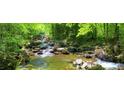 Serene creek flowing through lush greenery, creating a tranquil natural setting at 175 Clear Springs Ct, Pittsboro, NC 27312