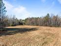 Photo of an open field with dry grass and distant trees at 2001 Wheelers Church Rd Rd, Hurdle Mills, NC 27541